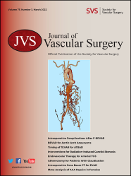 Journal of Vascular Surgery